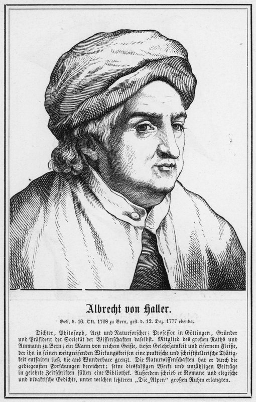 Albrecht von Haller by German School
