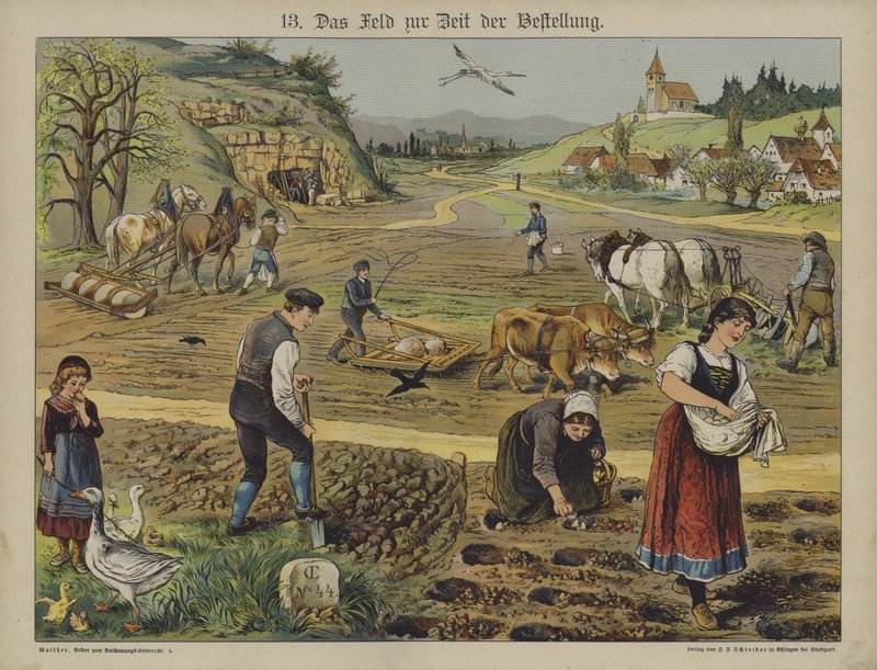 Farming by German School