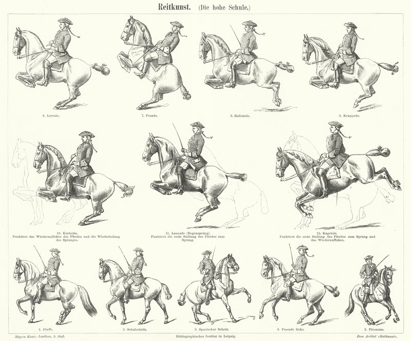 Horsemanship by German School