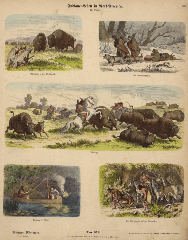 Native Americans by German School