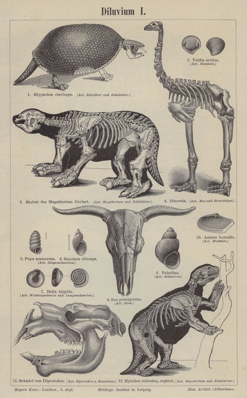 Prehistoric animals by German School