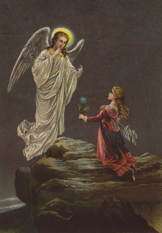 The miracle flower by German School