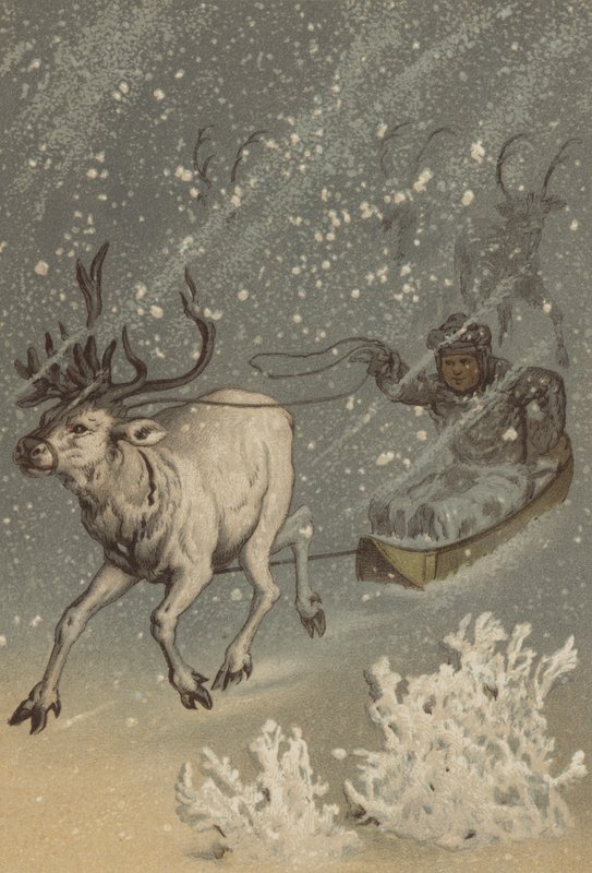 The Reindeer by German School