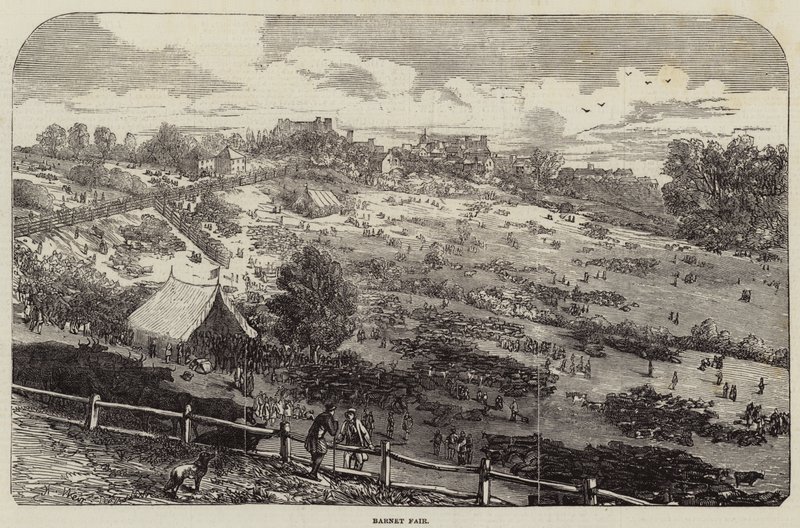 Barnet Fair by Harrison William Weir