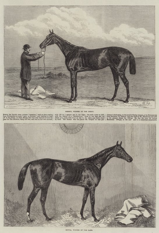 Racehorse by Harry Hall