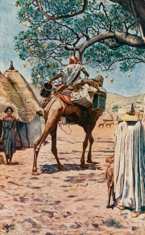 In Bornu by Harry Hamilton Johnston