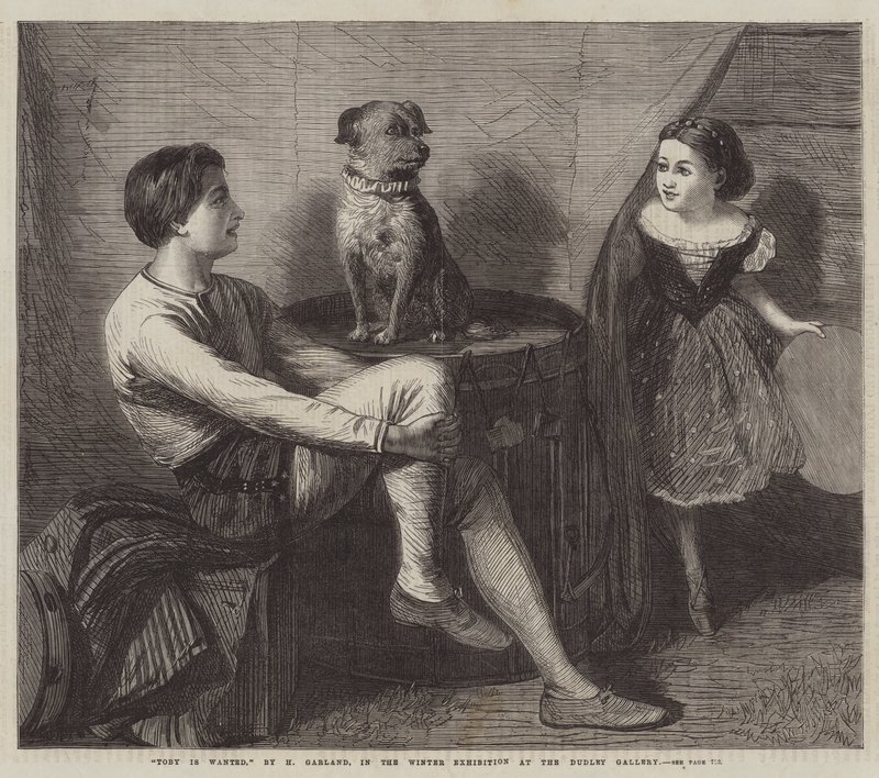 Toby is wanted by Henry Garland