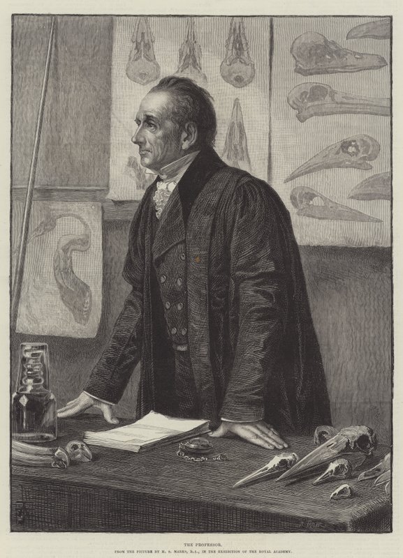 The Professor by Henry Stacey Marks