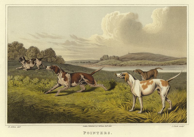 Pointers by Henry Thomas Alken