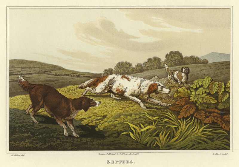 Setters by Henry Thomas Alken