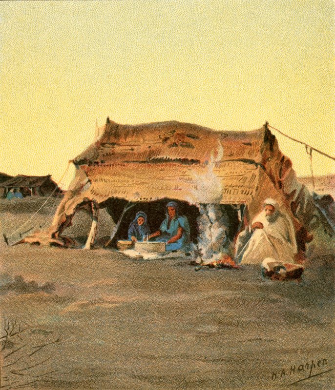 Tent life by Henry Andrew Harper