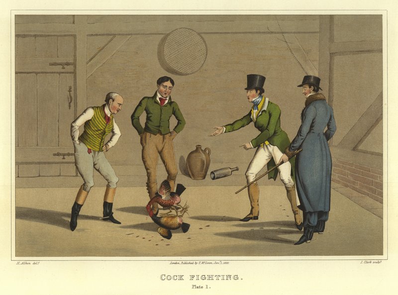 Cock Fighting by Henry Thomas Alken