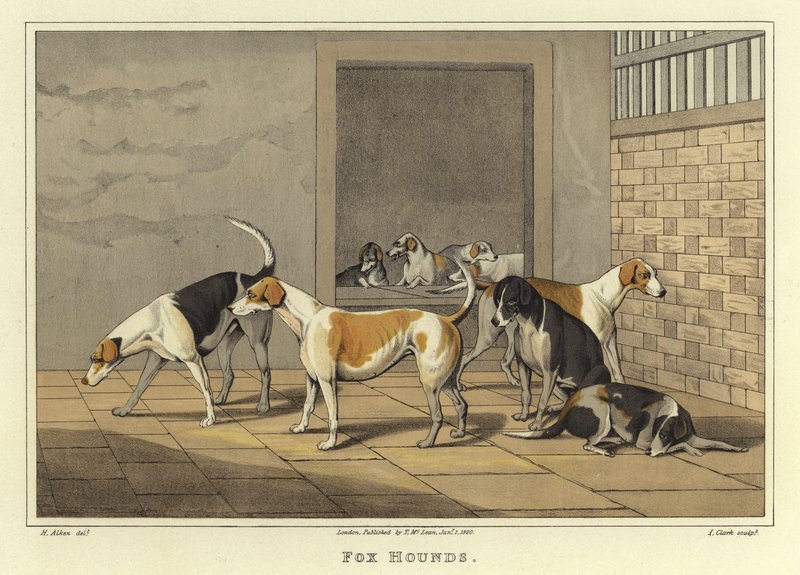 Fox Hounds by Henry Thomas Alken