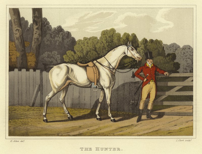 Hunter by Henry Thomas Alken