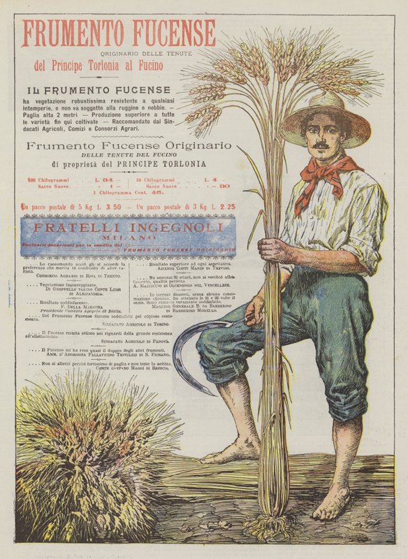 Fucense Wheat by Italian School