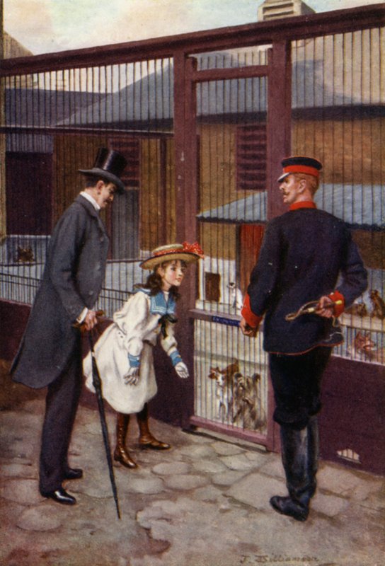 Ethel Finds Scamp by J. Williamson