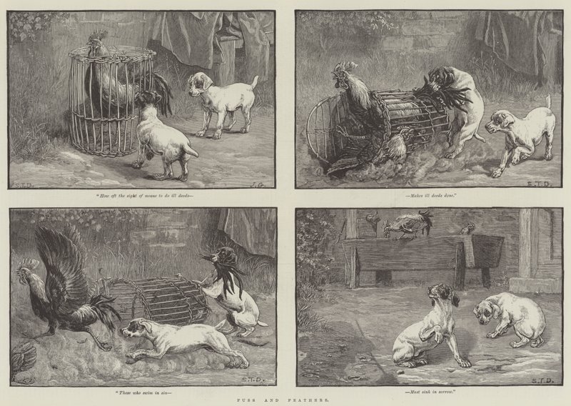 Fuss and Feathers by John Gilbert