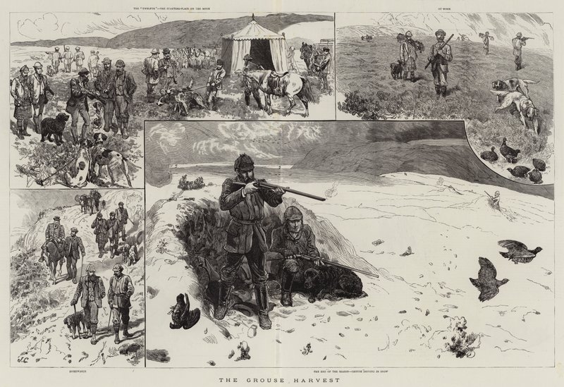 The Grouse Harvest by John Charlton