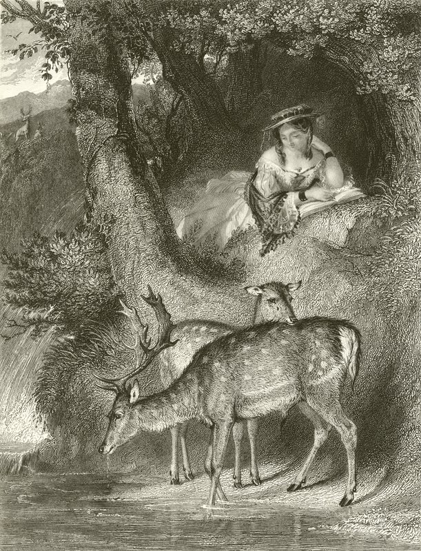 Mountain Solitude by John Corbould