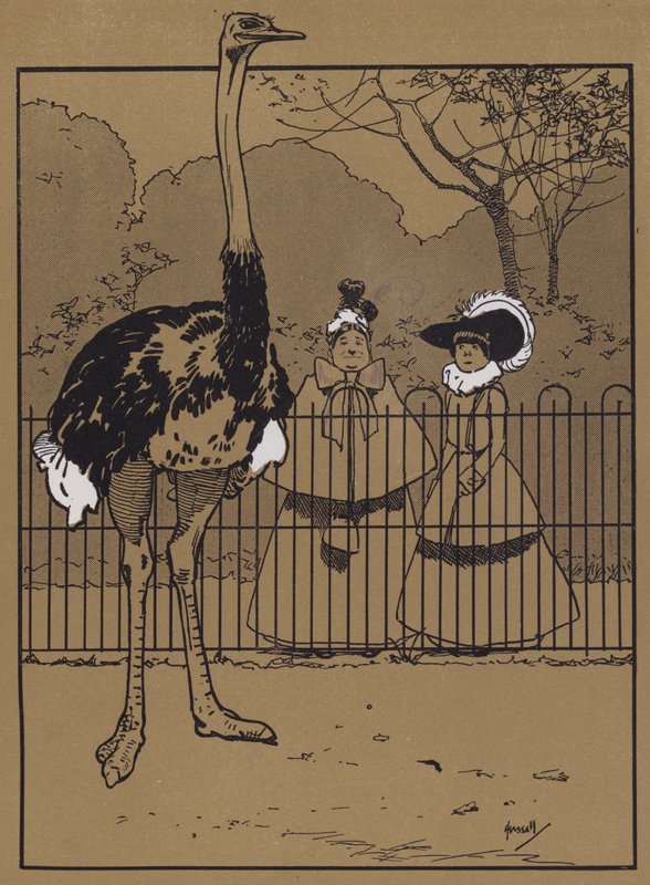 Ostrich Feathers by John Hassall