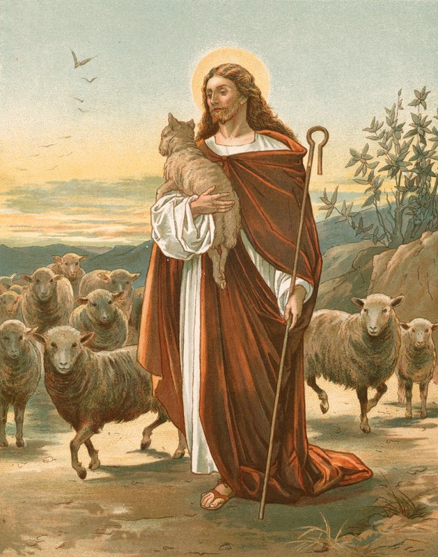 The Good Shepherd by John Lawson