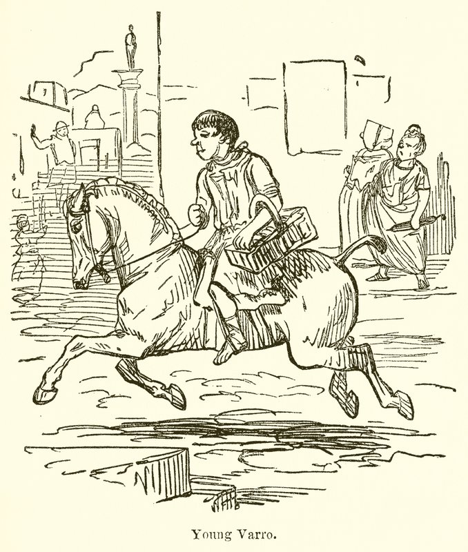 Young Varro by John Leech