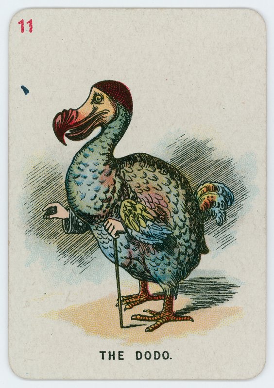 The Dodo by John Tenniel