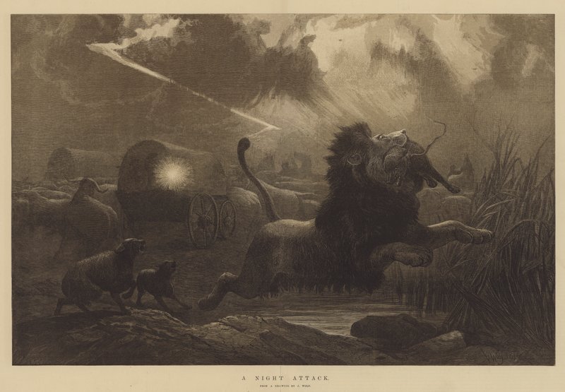 A Night Attack by Joseph Wolf
