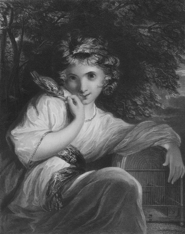 Robinet by Joshua Reynolds