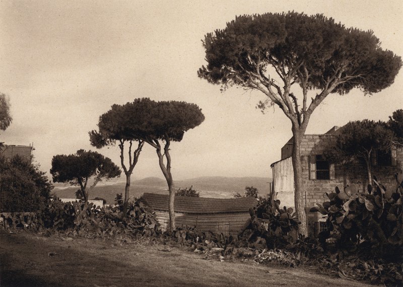 Lebanon, Landscape by Karl Grober