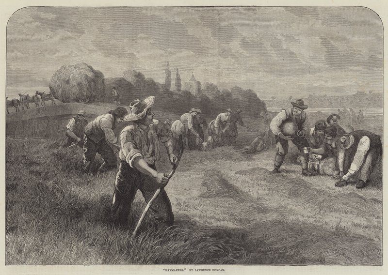 Haymakers by Lawrence Duncan