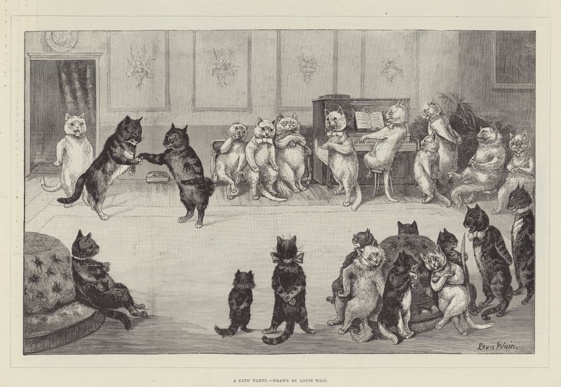 A Cats