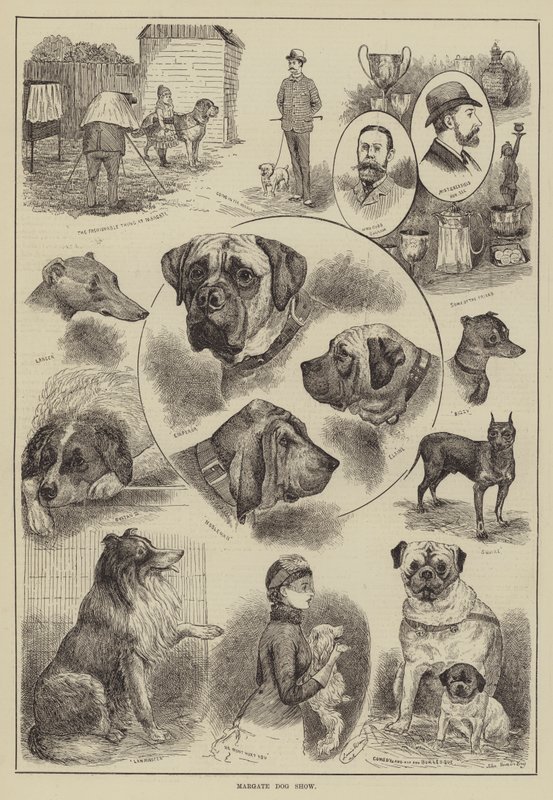 Margate Dog Show by Louis Wain