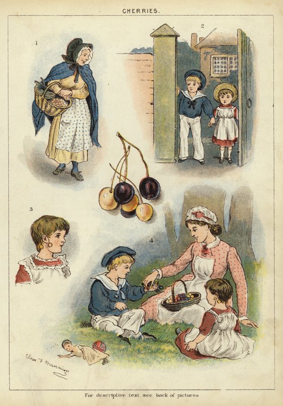 Cherries by Miss Eliza F. Manning