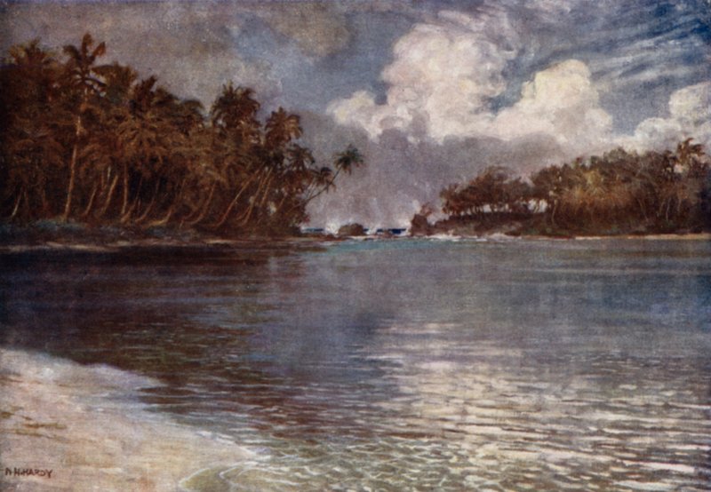 By Reef and Palm by Norman Hardy