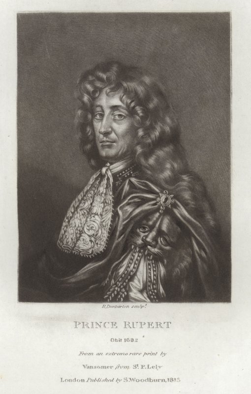 Prince Rupert by Peter Lely