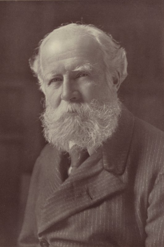 Lord Avebury by Reginald Haines