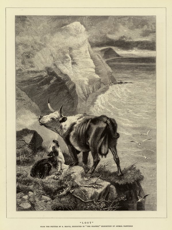 Lost by Richard Beavis