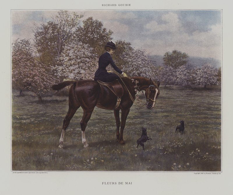 May Flowers by Richard Doyle