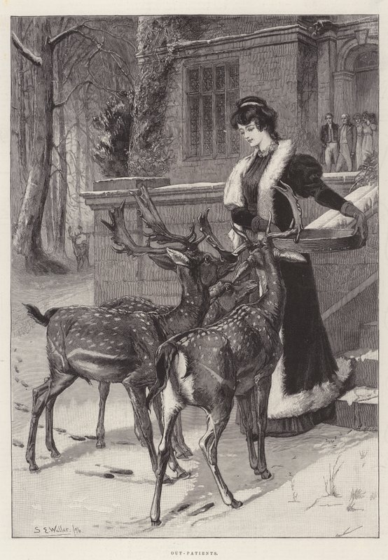Out-Patients by Samuel Edmund Waller