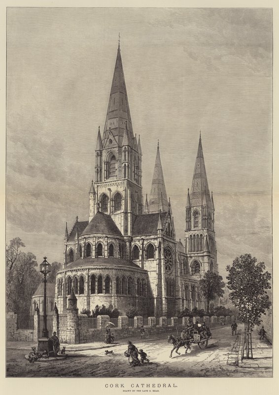 Cork Cathedral by Samuel Read