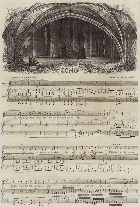 Echo by Samuel Read