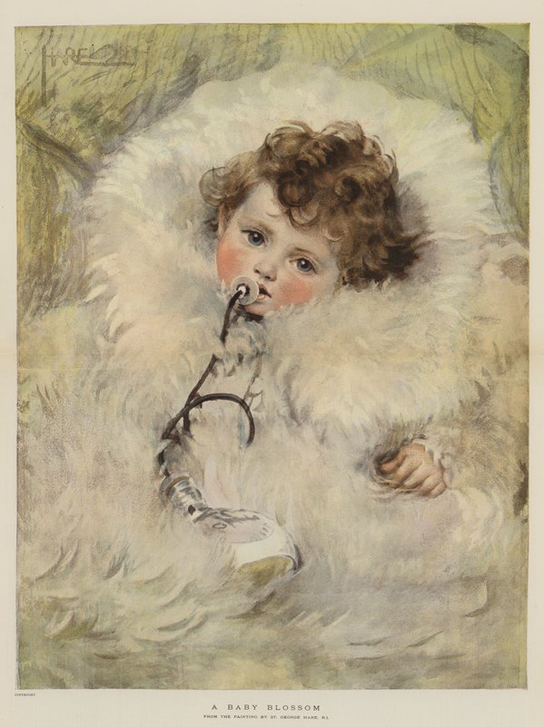 A Baby Blossom by St. George Hare