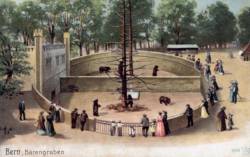 Bern, Bear Garden by Swiss School
