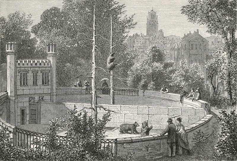 The Bear-Pit at Bern by Swiss School