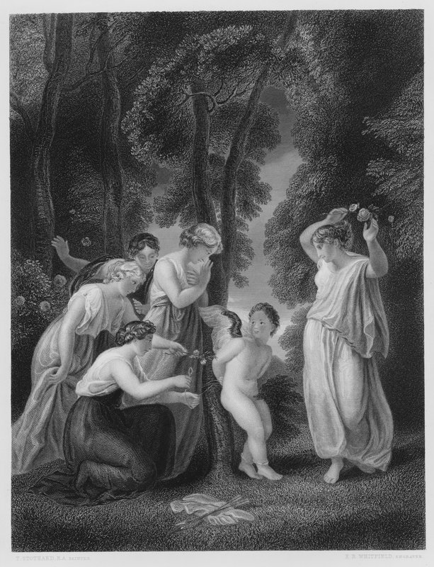 Cupid Bound by Thomas Stothard