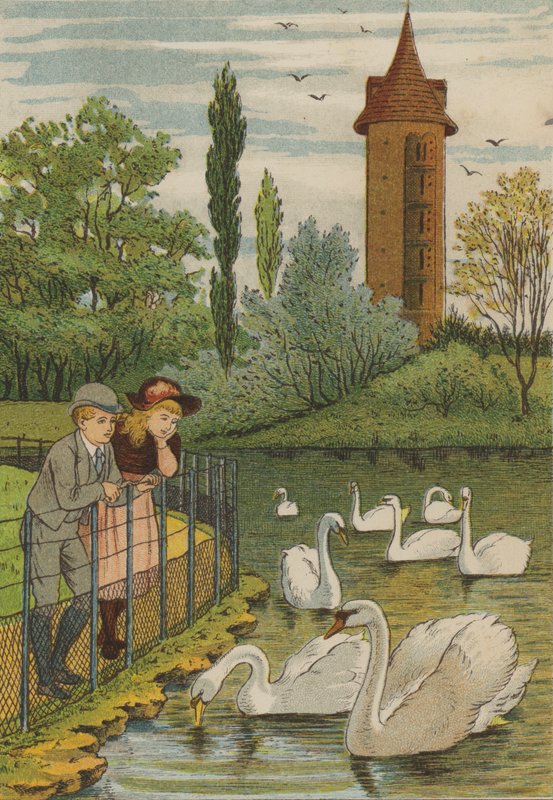 Paris: the swans by Thomas Crane