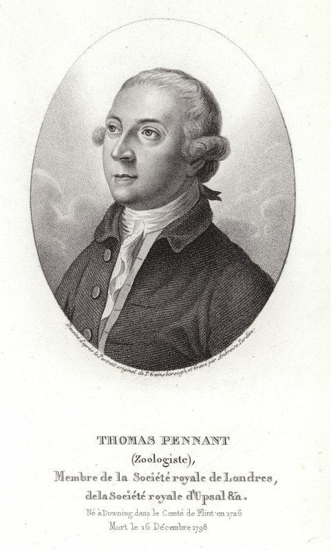 Thomas Pennant by Thomas Gainsborough