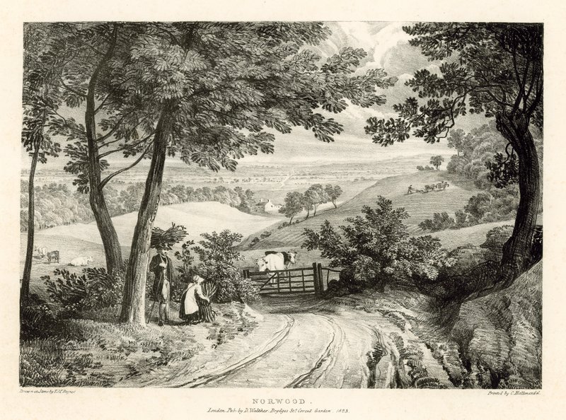 Norwood, London by Thomas Mann Baynes