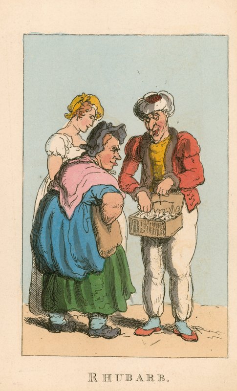 Rhubarb by Thomas Rowlandson